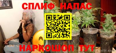 ECSTASY Гай