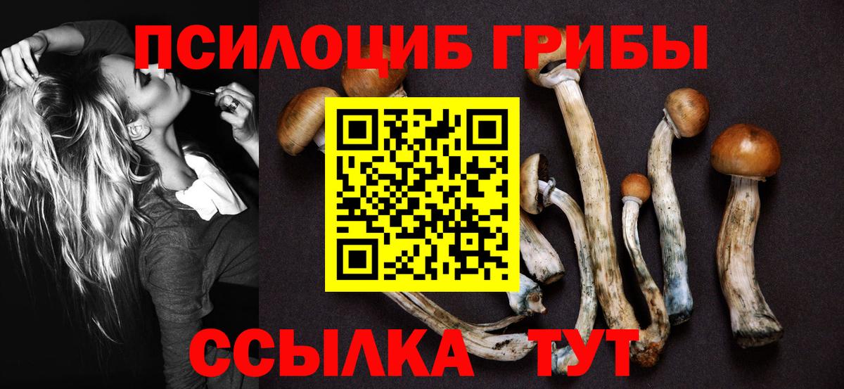 Псилоцибиновые грибы мицелий Верхняя Салда