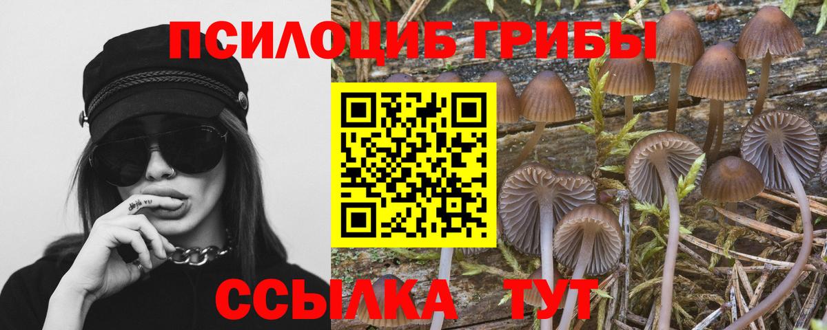 Верхняя Салда  A-PVP СОЛЬ кристаллы  Cocaine  Амфетамин кристаллы  NBOMe  Вход с VPN  Марихуана  Меф МЯУ МЯУ  